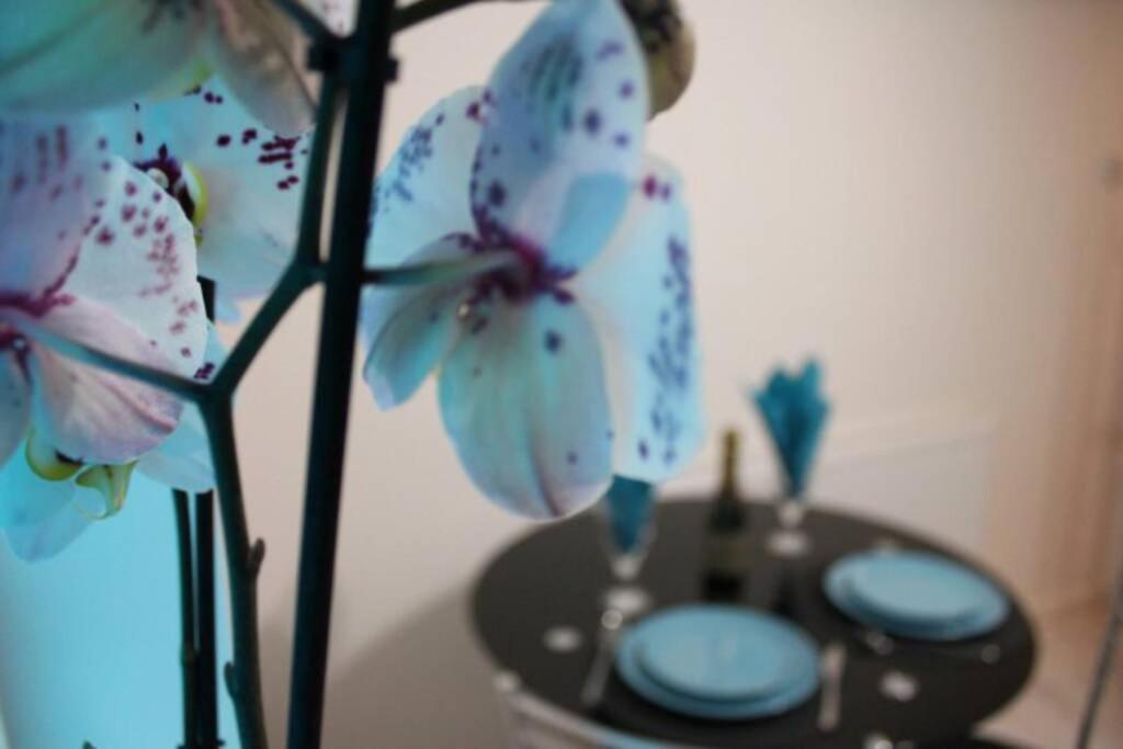 The Little Acorn Apartment ลิดนีย์ ภายนอก รูปภาพ