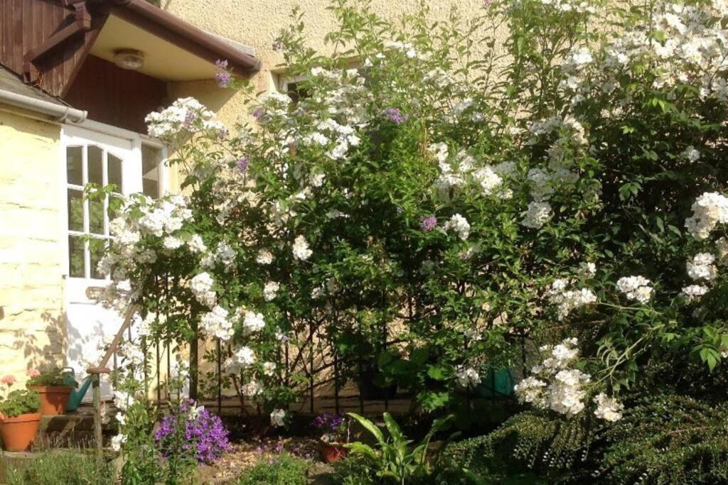 The Little Acorn Apartment ลิดนีย์ ภายนอก รูปภาพ